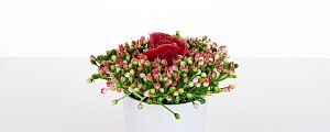 Rubinasti cvetlični gozdiček - mini