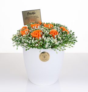 Ognjeni cvetlični gozdiček - veliki