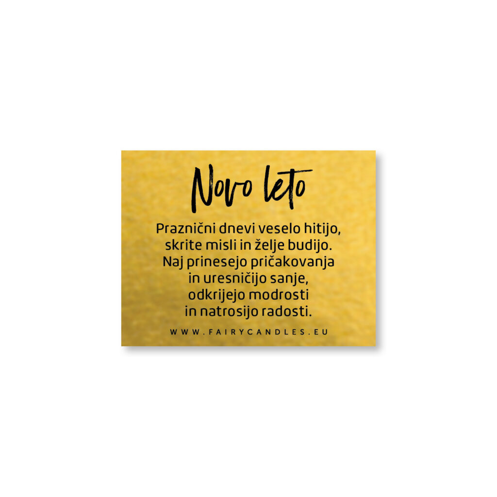 Posvetilo za novo leto V-99